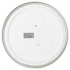 Светильник потолочный светодиодный Relict 38 SPB-6-40 4К WH 40W 4000K белый