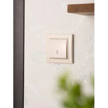 Выключатель одноклавишный СП проходной 10А бежевый Минск