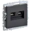 BRITE Розетка компьютерная двойная RJ45 кат.5E РК10-2-БрГ графит