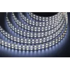 Лента светодиодная NLS-2835CW240-30-IP20-12V