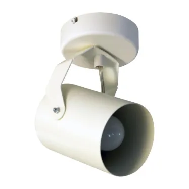 Светильник Трек НПБ 01-60-514 бел.матовый/белый ИУ