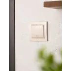 Выключатель одноклавишный СП Минск с индикатором 10А бежевый