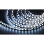 Лента светодиодная LEDх120/м 5м 9.6Вт/м 12В Pro дневной