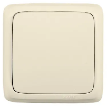 Переключатель одноклавишный наружный с изоляционной пластиной слоновая кость 10А