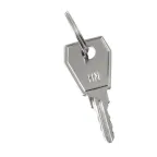 Ключ для пластикового замка к ЩРН (арт. lock-shrn-ip31) PROxima