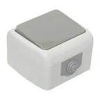 Выключатель Мурманск 1-клавишный 10А IP54 серый