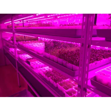 Светильник PPG T8i-1500 Agro 18w IP20 (для растений)