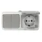 Блок розетка Мурманск 1-м 16А с заземлением с крышкой + двухклавишный выключатель IP54 серый