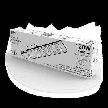 Светильник уличный консольный ДКУ 120 Вт 11000 лм 5000К AC 220В IP65 546х170х67мм широкая КСС Ш Avenue Gauss