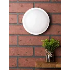 Светильник светодиодный ЖКХ круг ДПО-2003 15Вт 4000K IP65 PROxima