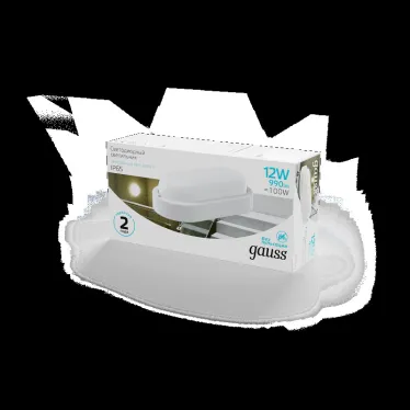 Светильник светодиодный ДБП 12 Вт 940 лм 4000К AC 220В Белый IP65 овал 160х90х46мм Пластик ЖКХ Elementary Gauss