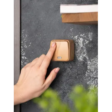 Выключатель 1-клавишный ОП Минск 10А с индикатором светлое дерево