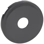 Celiane Лицевая панель TV розетки для 067380/81/82/86/87 графит