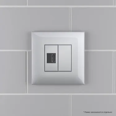 Avanti USB зарядное устройство в стену, , Закаленная сталь