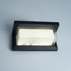 Светильник светодиодный уличный ДБУ-12w 4000К IP54 черный