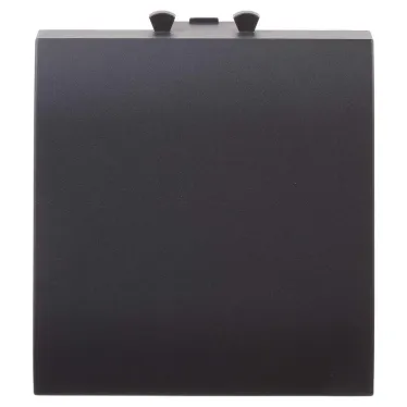 Avanti Вывод кабеля модульный , Черный матовый, 2 модуля