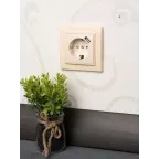 Розетка Минск 1-местная СП c заземлением 16А бежевая с защитными шторками с USB 1А