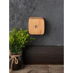 Розетка TV 1-местная ОП Минск 75Ом 5-862МГц светлое дерево