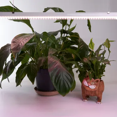 Светильник светодиодный ДПО-18w для растений и рассады IP40 с выключателем и сетевым шнуром