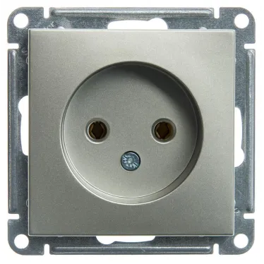 W59 Розетка без заземления без шторок, 16А, механизм, шампань