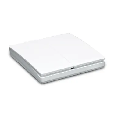 Выключатель дистанционного управления 230V 500W двухклавишный, белый, Feron