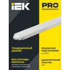 Светильник ДСП 1305 18Вт 6500К IP65 600мм серый пластик IEK
