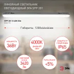 Светильник светодиодный линейный IP65 36Вт 3420Лм 4000К 1200мм мат SPP-201-0-40K-036