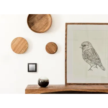 Выключатель одноклавишный, в рамку, алюминий