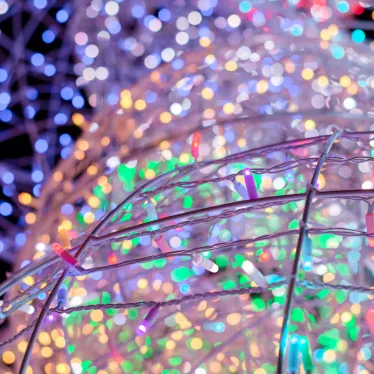 Гирлянда Нить 10м, 100 LED, цвет: RGB. свечение с динамикой  (при использовании контроллера), 230 В | 245-409 | NEON-NIGHT