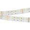 Лента RT-B144-19мм 24V RGBW-Warm (32 W/m, IP20, 5060, 5м) (Открытый)