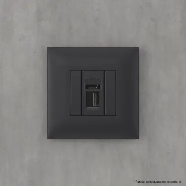 Avanti USB 2.0 розетка одинарная в стену, тип А-А, , Черный матовый