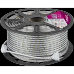 Лента светодиодная OLS-2835СW60-4.8-IP67-220V 50м