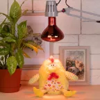 Лампа инфракрасная ИКЗК 220-250 R127 E27 250 Вт.