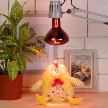 Лампа инфракрасная ИКЗК 220-250 R127 E27 250 Вт.