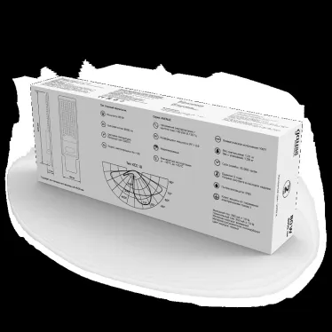 Светильник уличный консольный ДКУ 80 Вт 8000 лм 5000К AC 220В IP65 420х160х57мм широкая КСС Ш Avenue Gauss