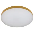 Светильник потолочный светодиодный Relict 48 Pult SPB-6-60-RC MG с ДУ 60Вт 3000-6500К Золото