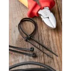 Хомут P6.6 стандартный черный 3.6x150 (100шт) FlexLock PROxima