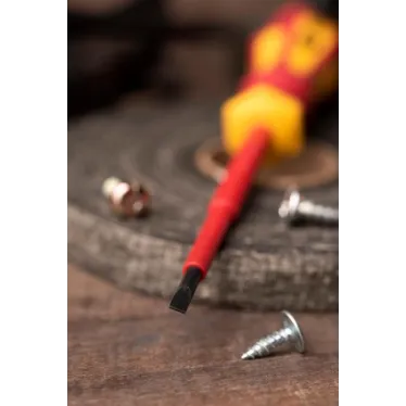 Отвертка Master SL4x100 мм 1000В Basic