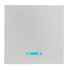 Валенсия лицевая панель выключателя 1-кл. с индикатором 10А сталь