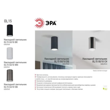 Подсветка декоративная под GU10 OL15 GU10 DG