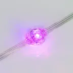 Модуль управляемый SPI-F2-D22 12V RGB (0.65W, IP66, 360 deg) (Arlight, Пластик, 3 года) | 036776 | Arlight