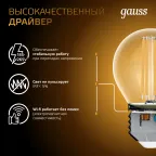 Лампа светодиодная Black LED Filament Шар E27 9W 680lm 2700K | 105802109 | Gauss