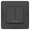 BLANCA скрытой установки двухклавишный выключатель (cх.5) с подсв., 10A, 250B, антрацит