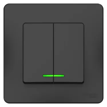 BLANCA скрытой установки двухклавишный выключатель (cх.5) с подсв., 10A, 250B, антрацит