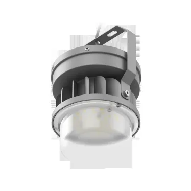 Светильник светодиодный промышленный ACORN LED 30 D120 5000K | 1490000020 | Световые Технологии