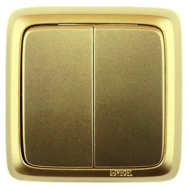 Выключатель двухклавишный наружный с изоляционной пластиной золото 10А