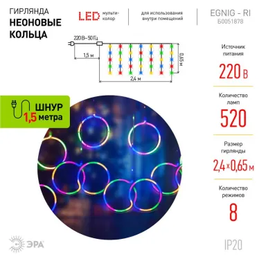 Светодиодная новогодняя гирлянда ЕGNIG - RI занавес Неоновые кольца 8 режимов 2,4*0,65 м мультиколор IP20