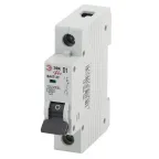 Автоматический выключатель ВА47-29 1Р 1А 4,5кА кривая D