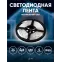 Лента светодиодная LS2835-4,8-60-24-65-4000К-5m (50/800)