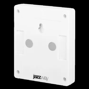 Светодиодный фонарь-светильник ''Выключатель'' TS2-L2W